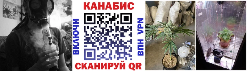 Где купить наркоту Шилка A PVP  Меф мяу мяу  ГАШ  Марихуана 
