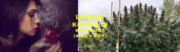стафф Приозерск