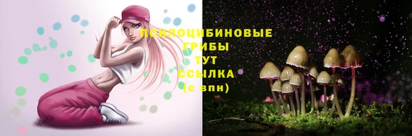 дживик Протвино