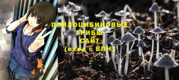 стафф Приозерск
