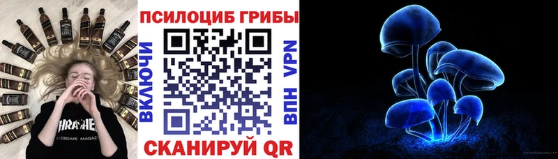 Псилоцибиновые грибы MAGIC MUSHROOMS  Шилка 